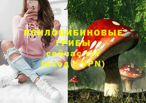 PSILOCYBIN Балабаново