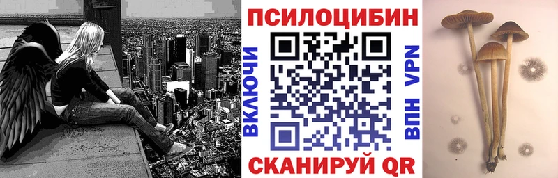 где продают   hydra вход  Галлюциногенные грибы мухоморы  Сельцо 